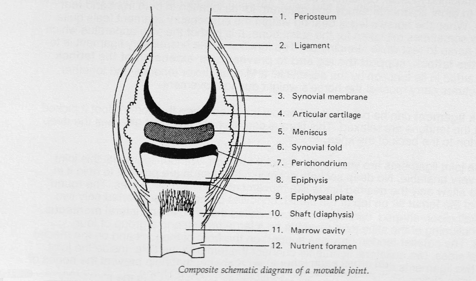 DIAGRAM OF JOINT