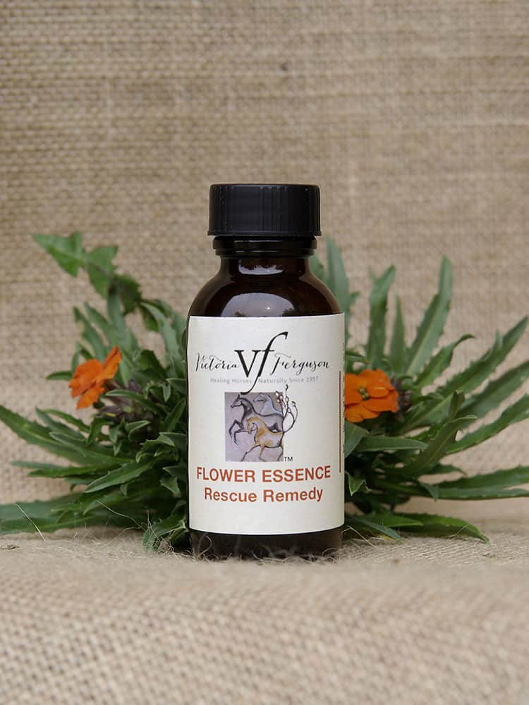 Flower Essence Therapy for Horses Victoria Ferguson